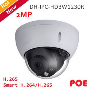 DH-IPC-HDBW1230R